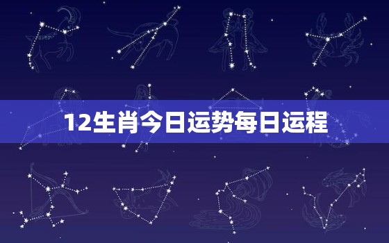 12生肖今日运势每日运程，十二生肖今日运势12生肖每日财运