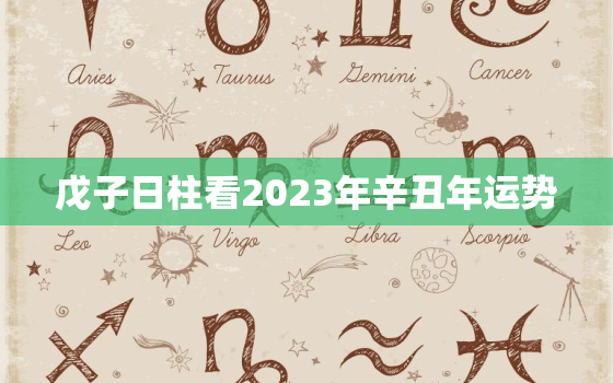 戊子日柱看2023年辛丑年运势，戊子日柱2023辛丑流年