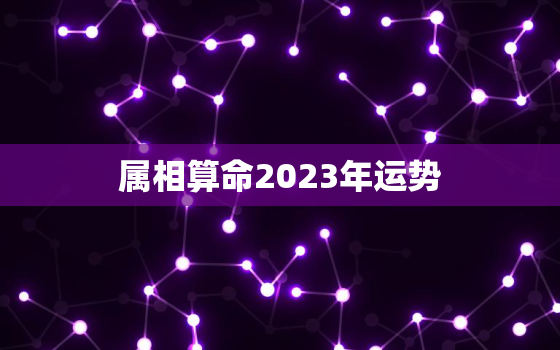 属相算命2023年运势，运势测算2023年