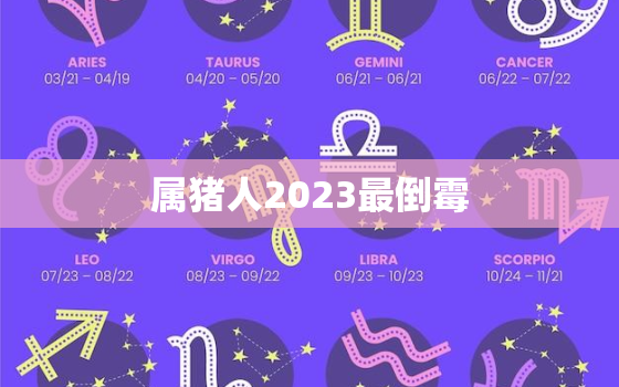 属猪人2023最倒霉，属猪2023年必有一难