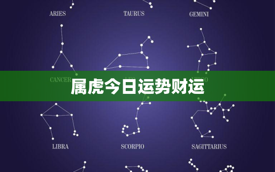 属虎今日运势财运，属蛇人今年运势