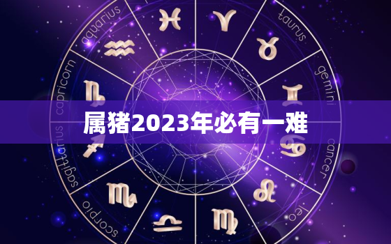 属猪2023年必有一难，属猪的今年运势怎么样2023