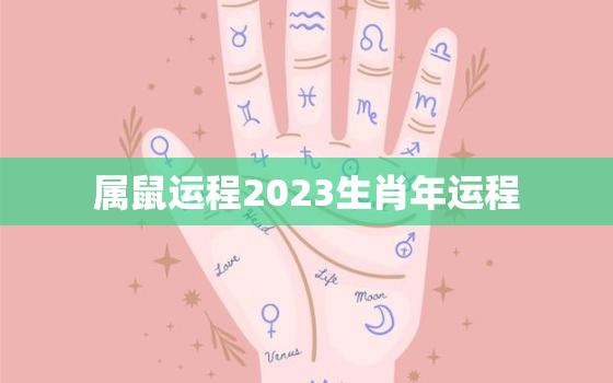 属鼠运程2023生肖年运程，属鼠运势2023