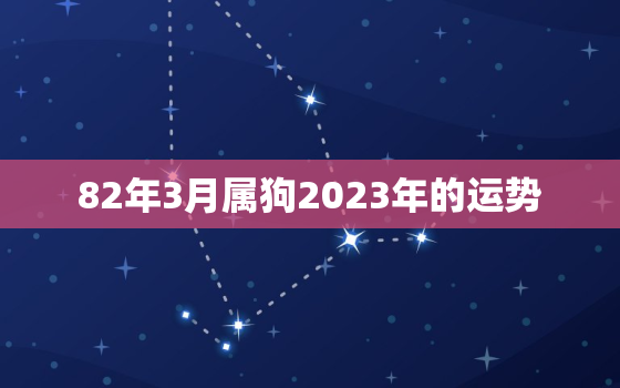 82年3月属狗2023年的运势，1982年属狗人2023年每月运势