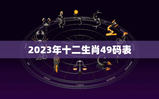 2023年十二生肖49码表，2023年十二生肖49码表图片