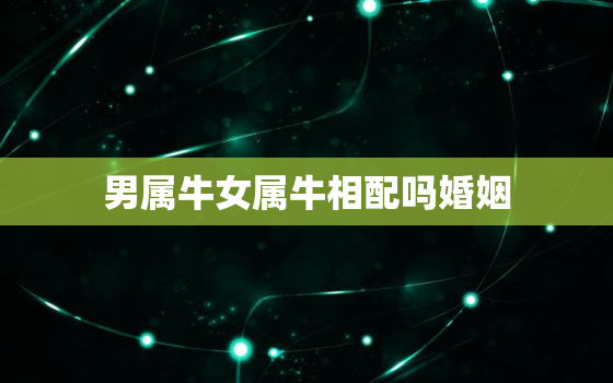 男属牛女属牛相配吗婚姻，男属牛女属牛相配吗婚姻1999年