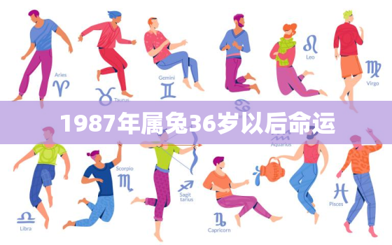 1987年属兔36岁以后命运，1987年属兔33岁后会大富大贵