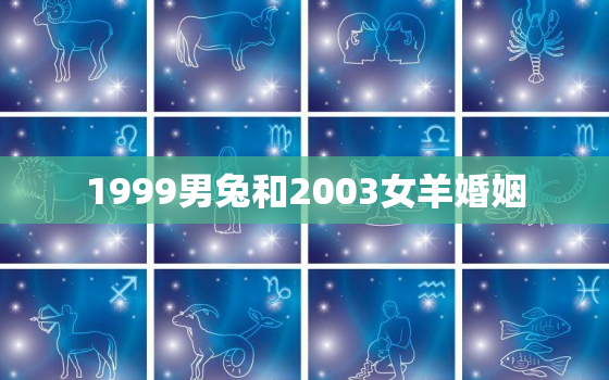 1999男兔和2003女羊婚姻，1999属兔和2003属羊