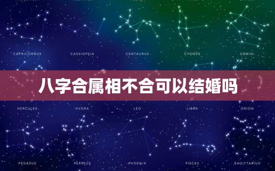 八字合属相不合可以结婚吗，八字不合属相不合就不能在一起吗