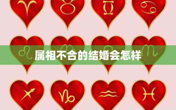 属相不合的结婚会怎样，属相不合的结婚会怎样化解