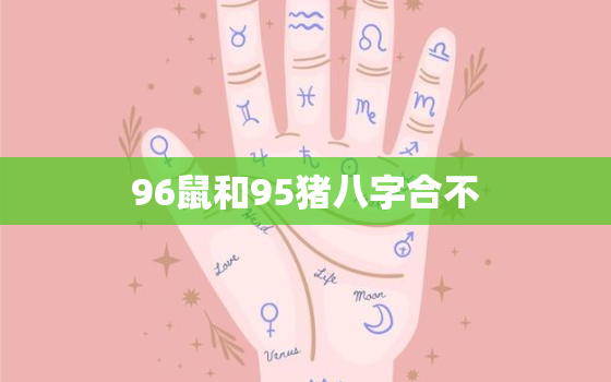 96鼠和95猪八字合不，96鼠和95猪合不合