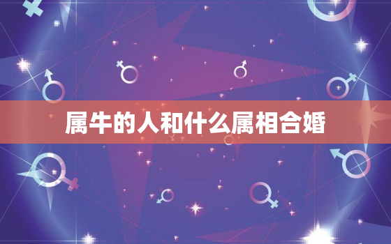 属牛的人和什么属相合婚，属牛的人和什么属相合婚好