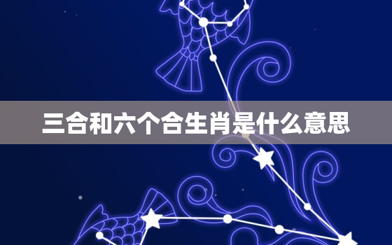 三合和六个合生肖是什么意思，属龙的三合和六个合生肖是什么意思