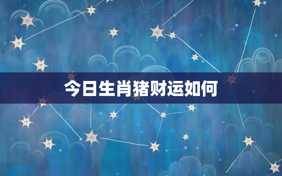 今日生肖猪财运如何，今日属猪财运怎样