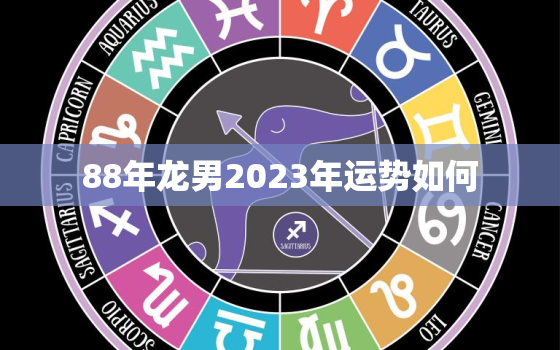 88年龙男2023年运势如何，88年龙男2023年运势如何凌晨2点出生