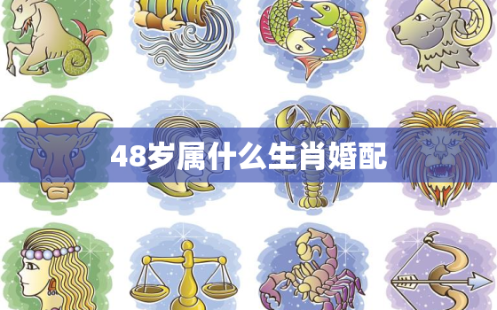 48岁属什么生肖婚配，48岁属什么生肖和谁配