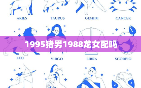 1995猪男1988龙女配吗，1988龙男和1995猪女