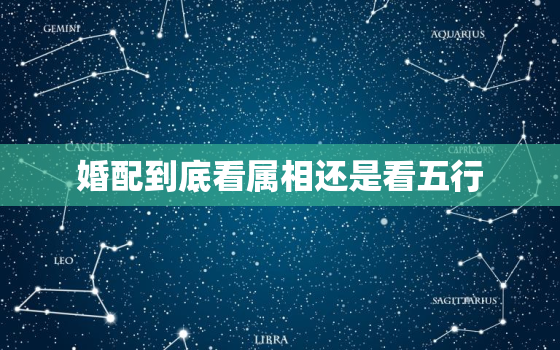 婚配到底看属相还是看五行，婚配到底看属相还是看五行呢