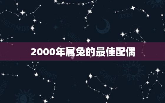 2000年属兔的最佳配偶，2000年属兔的最佳婚配