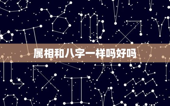 属相和八字一样吗好吗，八字和属相 合婚哪个重要