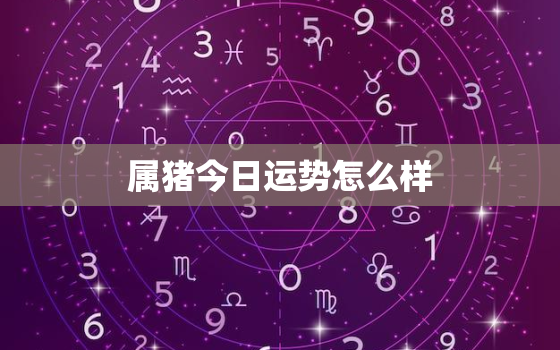 属猪今日运势怎么样，属猪今日运势每日更新内容