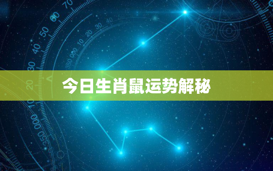 今日生肖鼠运势解秘，今日生肖鼠运势解秘查询