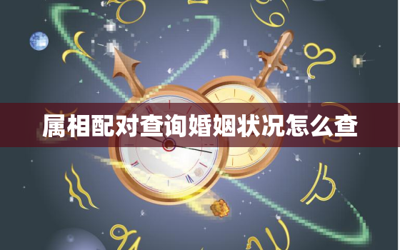 属相配对查询婚姻状况怎么查，属相配对测试婚姻等次