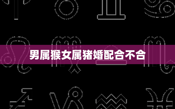 男属猴女属猪婚配合不合，男属猴女属猪婚姻配不配