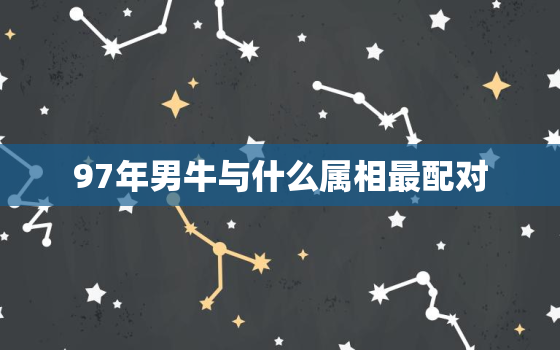 97年男牛与什么属相最配对，97年男牛与什么属相最配对婚姻