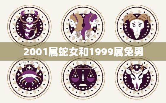 2001属蛇女和1999属兔男，2001年男蛇和1999女兔配婚姻好不好