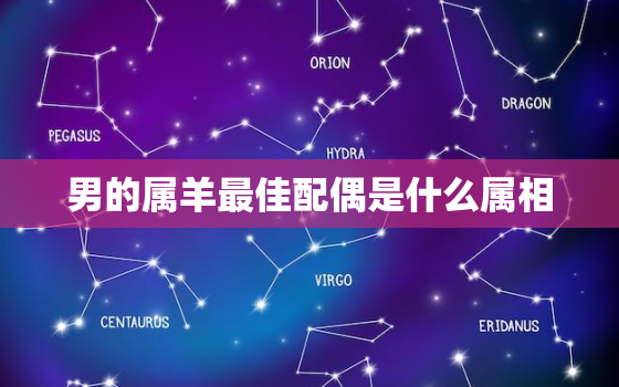 男的属羊最佳配偶是什么属相，男的属羊配偶最佳是什么?