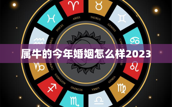 属牛的今年婚姻怎么样2023，属牛的人今年婚姻如何