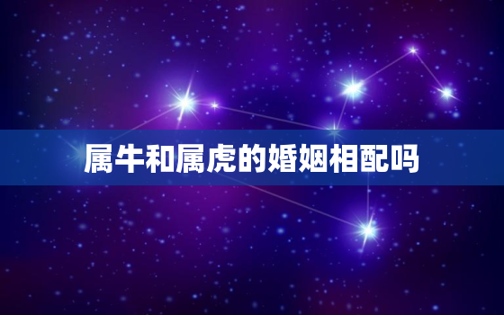 属牛和属虎的婚姻相配吗，属牛和羊相配婚姻如何