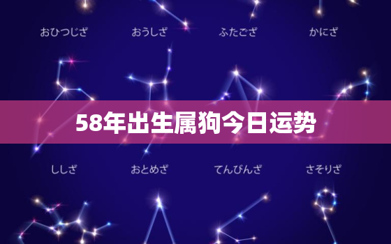 58年出生属狗今日运势，58年出生的狗今年运势