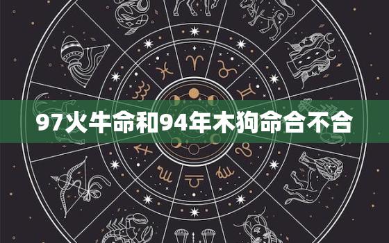 97火牛命和94年木狗命合不合，97牛和94狗相冲吗