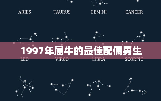 1997年属牛的最佳配偶男生，1997年属牛的最佳配偶男生婚姻