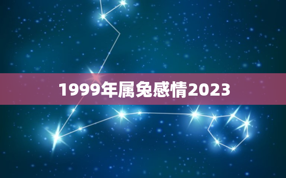 1999年属兔感情2023(属兔人2023年感情运势预测)