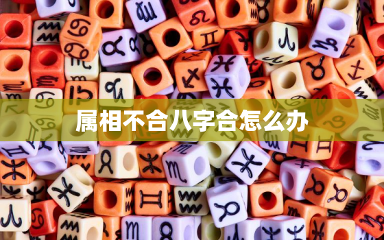 属相不合八字合怎么办，属相不合八字合的婚姻好不好?