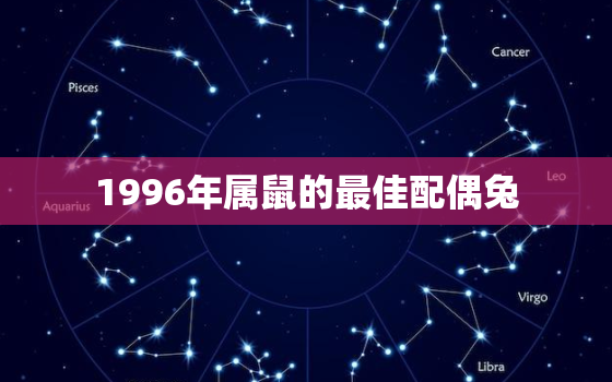 1996年属鼠的最佳配偶兔，1996年属鼠的最佳配偶兔子