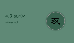 双子座2023运势查询男，202一双子座运势
