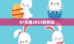 87年兔2023的财运(展望财源滚滚投资需谨慎)