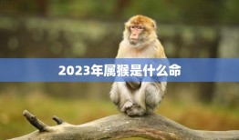 2023年属猴是什么命(猴年大吉财运亨通)