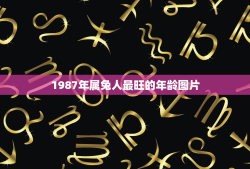 1987年属兔人最旺的年龄图片(探寻属兔人的黄金年龄)