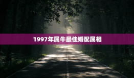 1997年属牛最佳婚配属相，1997年属牛最佳配偶