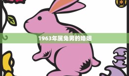 1963年属兔男的婚姻(如何避免婚姻危机)