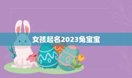 女孩起名2023兔宝宝(最佳取名灵感分享)