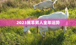 2023属羊男人全年运势(顺风顺水财运亨通)