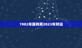 1982年属狗男2023年财运(财富大丰收)