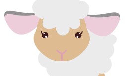 91年的羊三月出生的如何(迎接人生新挑战)