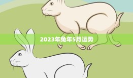2023年兔年5月运势(财运亨通事业顺利)